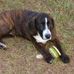 Profile Picture of Buddy Forrest (@buddy.forrest.5) on Facebook