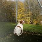 Profile Picture of   Bryan. Cepparo... (@melanie.fagot) on Tiktok