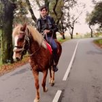 Profile Picture of Luis Henriques (@luishenriquesconta_oficial) on Instagram