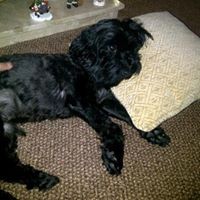 Lynn Lennon - Quora Profile Picture of Lynn Lennon (@lynn-lennon-3) on Quora