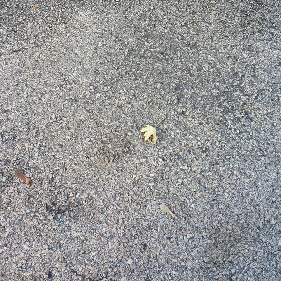 Profile Picture of Crystal Casperson (@gilly1234) on Poshmark