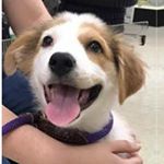 Profile Picture of Jeffrey Osborne (@jeffrey_oz) on Instagram