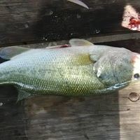 James Neville - Quora Profile Picture of James Neville (@james-neville-34) on Quora