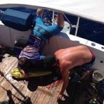 Profile Picture of Mark Dandy (@markdandy81) on Instagram