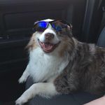 Profile Picture of Patrick Cochran (@patrick.cochran.5203) on Instagram