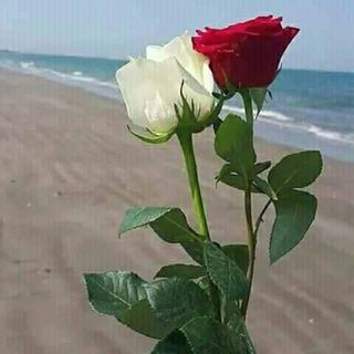 Profile Picture of Jagat Raiza Ramadhan (@didix.crispie) on Facebook