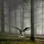 Profile Picture of Chris Angel (@angeleyes0710) on Youtube