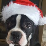 Profile Picture of Jonathan Larue (@jonathan.larue.71) on Instagram