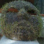 Profile Picture of John Briere (@zoetetal) on Instagram