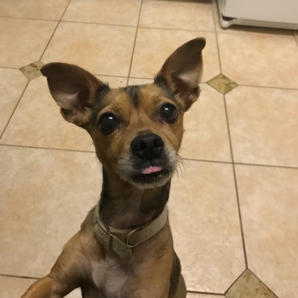 Profile Picture of Beth Endlich (@tori1118) on Poshmark