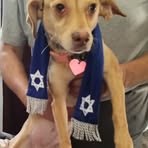 Profile Picture of Craig Schultz (@craig.schultz.532903) on Facebook