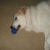 Profile Picture of Rocko Scott Peckinpaugh (@rocko.peckinpaugh) on Facebook