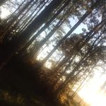 Profile Picture of Kylie tillett (@kylie_backk_uppp) on Instagram