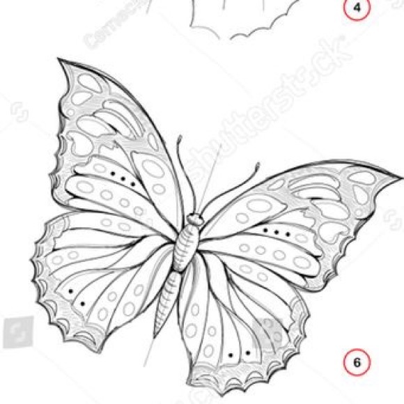 Profile Picture of Shaelyn Dunkeld’s (@sdposhmark26) on Poshmark