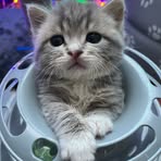 Profile Picture of Calvin Hawthorne (@Calvin-Hawthorne) on Facebook