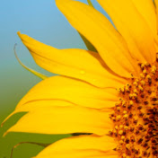 Profile Picture of Tina Olko (@tinaolko9910) on Youtube