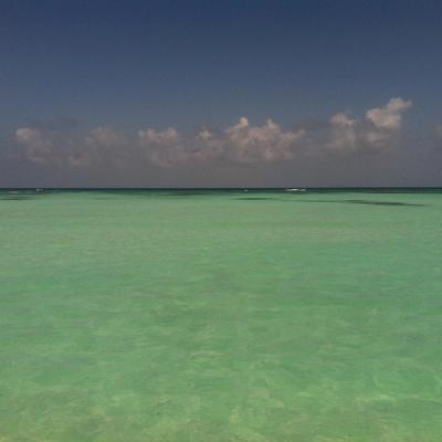 Profile Picture of Don Bateman (@DonJuanBateman) on Twitter