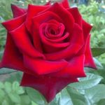 Profile Picture of magesh_dayana_7708 (@magesh_dayana_7708) on Instagram