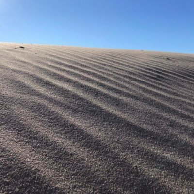 Profile Picture of Stephen Niese (@Stephen44331426) on Twitter