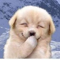 Profile Picture of Melanie Liu (@melanie-liu-1) on Quora