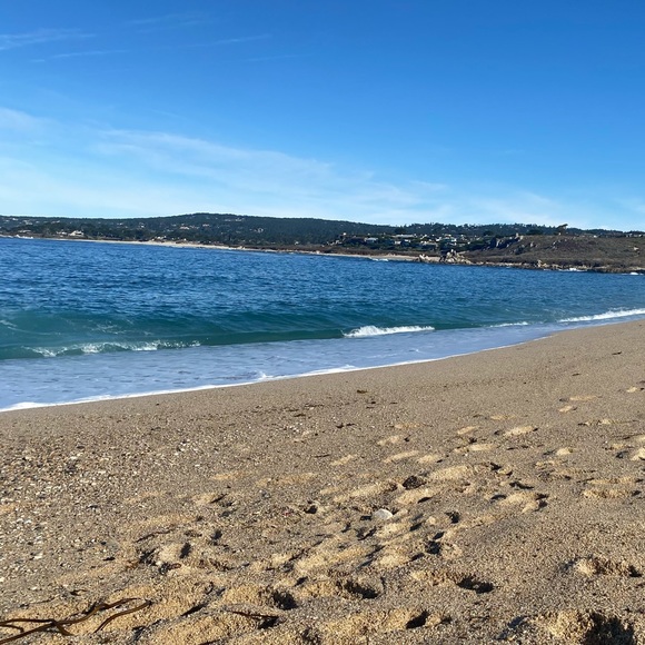 Profile Picture of Annie Darling (@darlingannie) on Poshmark