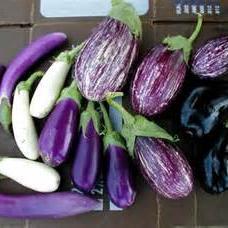 Ananth Subramanian - Twitter Profile Picture of Ananth Subramanian (@rajamanione) on Twitter