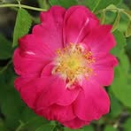 Profile Picture of Joseph Archambeau (@favour.joseph.336717) on Facebook