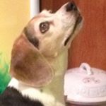 Profile Picture of Sheila B. Jones Aleman (@sheilajonesaleman) on Instagram