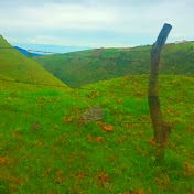 Eva Duque - Youtube Profile Picture of Eva Duque (@EvaDuque-ss8hl) on Youtube