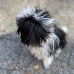 Profile Picture of Nova Marie Parker (@_.novamarie) on Instagram