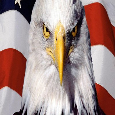 Profile Picture of Matt Blystone (@MattBlystone) on Twitter