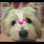 Profile Picture of Janet Geer (@janet.geer.581) on Facebook