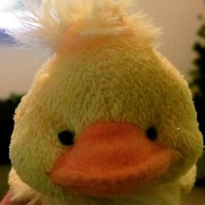 Profile Picture of Keith The Duck (@_keiththeduck) on Twitter