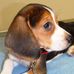 Profile Picture of Lori Miller (@lori.miller.370) on Facebook