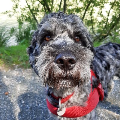 Profile Picture of Julia Josephine Heck (@heck_josephine) on Twitter