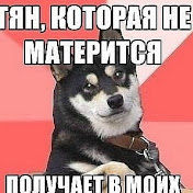 Alex Glebov - Youtube Profile Picture of Alex Glebov (@AlexGlebik) on Youtube