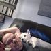 Profile Picture of Jeff Gehring (@jeffmsp30) on Pinterest