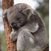 Tamara Lally - Youtube Profile Picture of Tamara Lally (@tamaralally1622) on Youtube