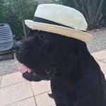 Profile Picture of Jerome Czajkowski (@jeromeczajkowski) on Instagram