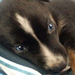 Profile Picture of newacount : aimeehuntinghawk5 (@aimeehuntinghawk12) on Instagram