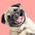 Profile Picture of hi im chris (@uleryw33) on Instagram