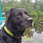 Profile Picture of Zachary Murphy (@zachary.murphy.79) on Instagram