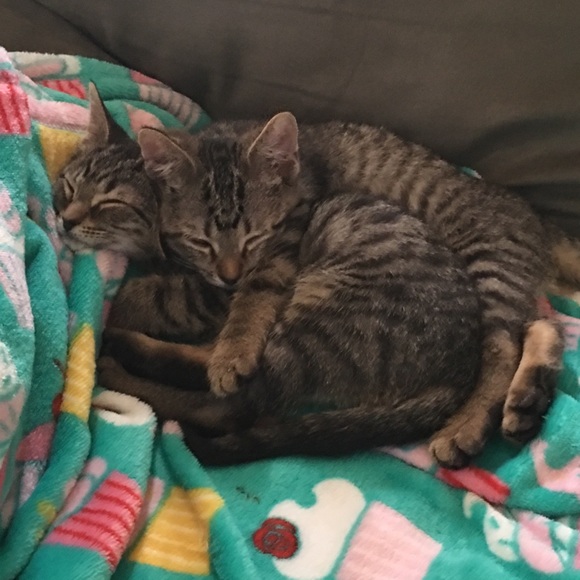 Profile Picture of Dawn Pawelak (@sahm24) on Poshmark