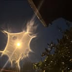 Profile Picture of Guleon Lapa (@Guleon-Lapa) on Facebook