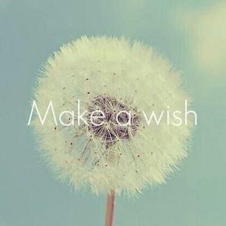 Profile Picture of Elisa Lora (@elisalorap) on Twitter