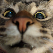 Profile Picture of Krystal Clark (@krystalclark9590) on Youtube