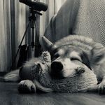 Profile Picture of Jason Mckeon (@jasonmckeon) on Instagram