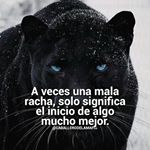 nelson espinosa - Instagram Profile Picture of nelson espinosa (@nelson_espinosa6647) on Instagram
