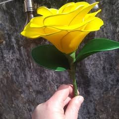 Profile Picture of Sue Heron (@sue.heron3) on Tiktok