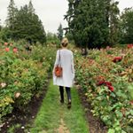 Profile Picture of alex_bazzell_reed (@alex_bazzell_reed) on Instagram